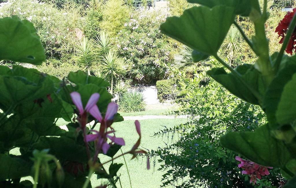 Casa Per Ferie Cardinal G. Guarino Bed & Breakfast Roma Exterior foto